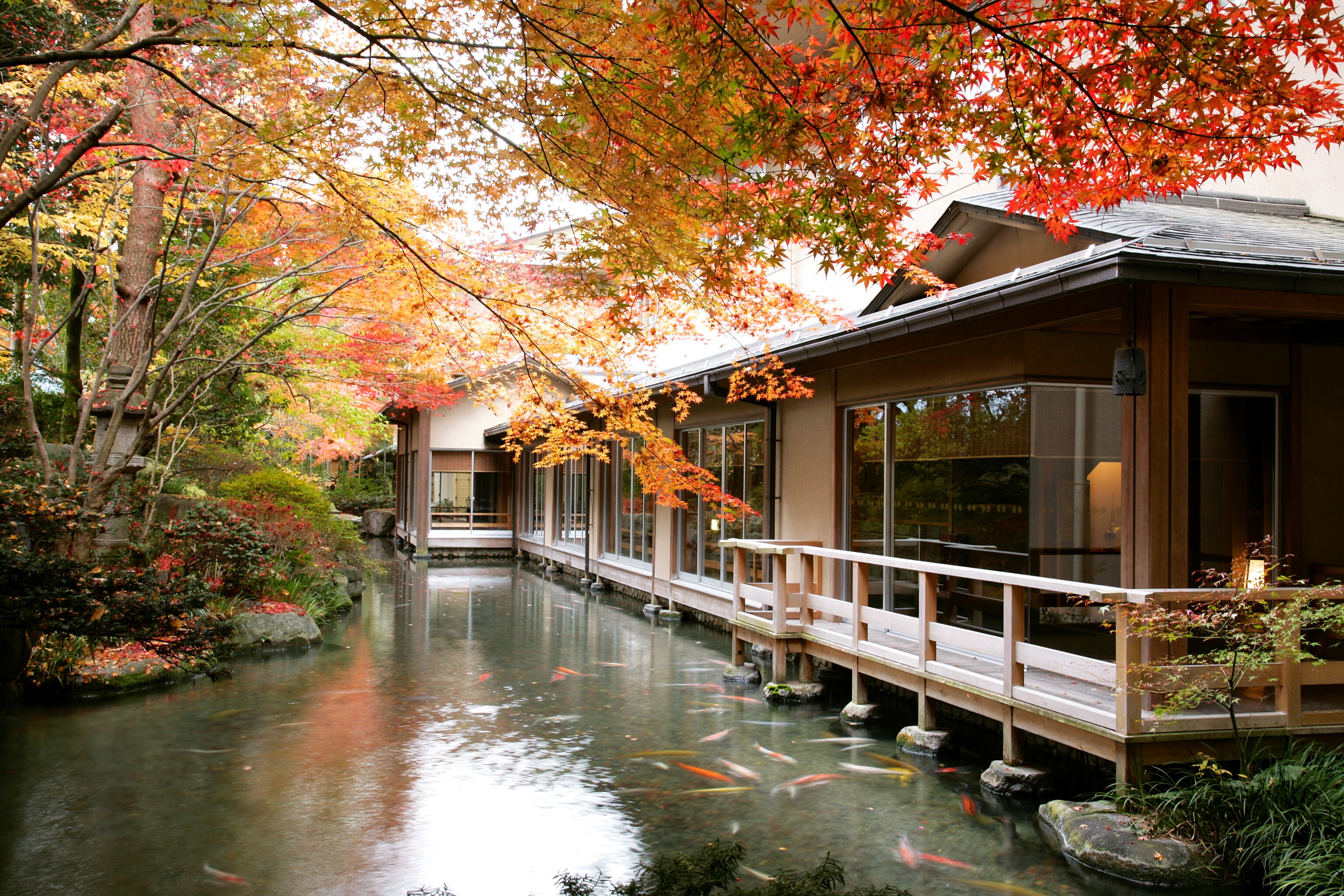 这个冬季值得Pick的日本高级日式温泉旅馆 - 知乎